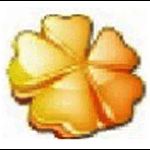 ThunderSoft AlbumMe Deluxev4.9.0