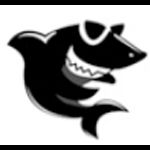 黑鲨装机大师专业版