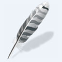 wing pro 11 mac版 v11.0.6.0官方版