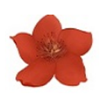 小红花直播音效助手纯净版